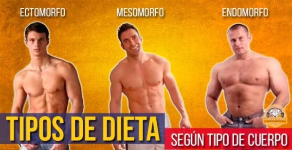 Tipos De Dieta Según Tipos De Cuerpo Dorians Gym